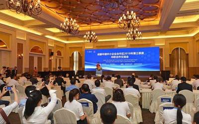 蒲江与德国弗劳恩霍夫协会共建“中德中心”