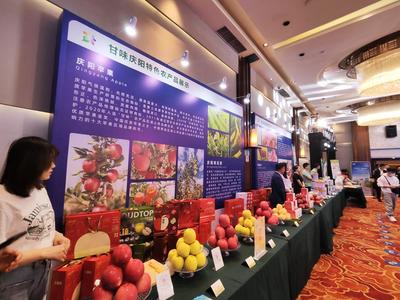 庆城县:大力实施以“甘”入“味”战略 做强“甘味”品牌