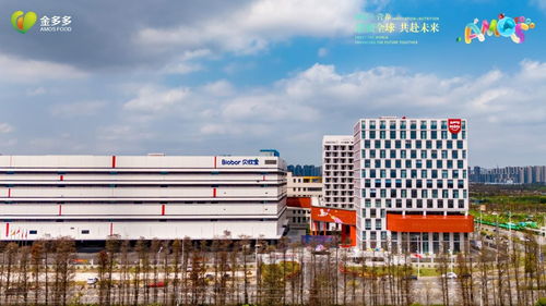 金多多食品广东大型生产基地竣工投产暨全球经销商大会及首届大湾区糖果产业论坛圆满成功
