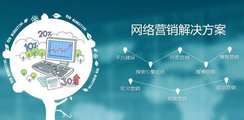 中小企业网络营销解决方案 成都金思源