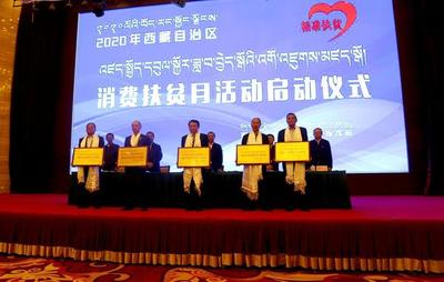 中国三峡集团发挥央企援藏优势 助推扶贫出实招
